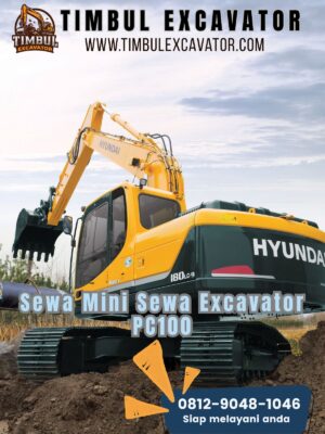Sewa Mini Excavator PC100