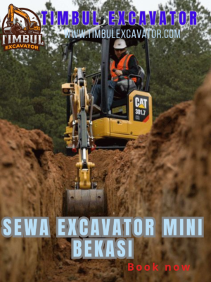 Sewa Excavator Mini Bekasi
