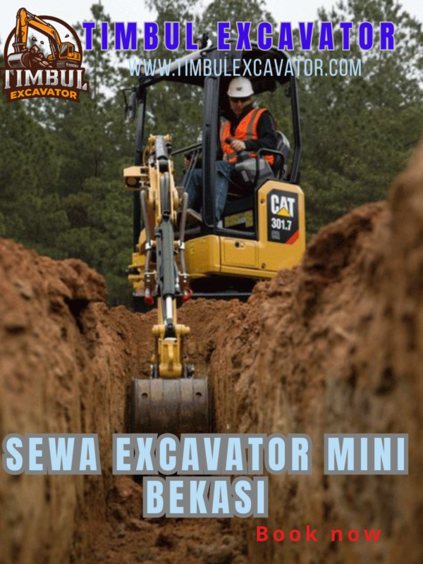 Sewa Excavator Mini Bekasi