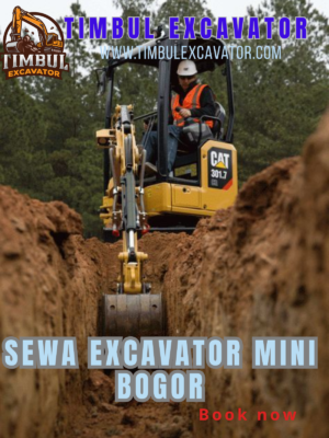 Sewa Mini Excavator Bogor