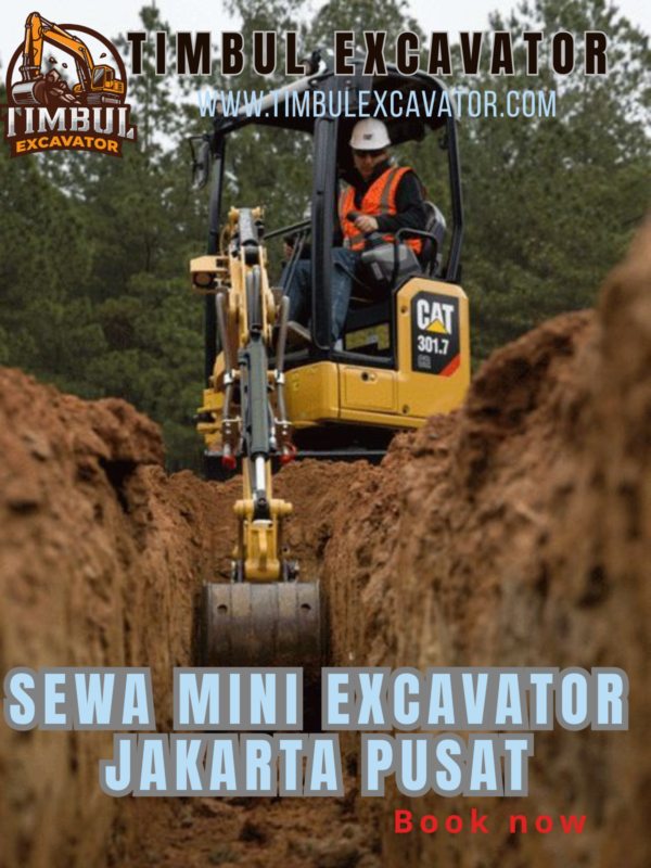 Sewa Mini Excavator Jakarta Pusat