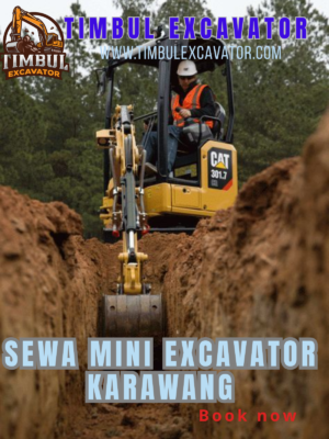 Sewa Mini Excavator Karawang