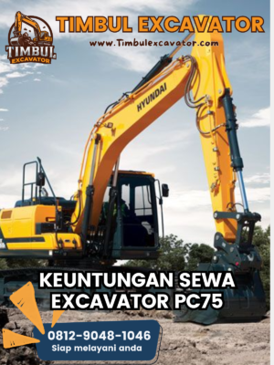 Keuntungan Sewa Excavator PC75 Keuntungan Sewa Excavator PC75