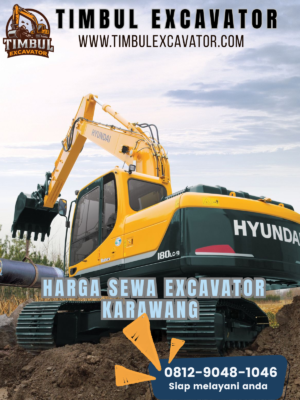 Harga Sewa Excavator Karawang
