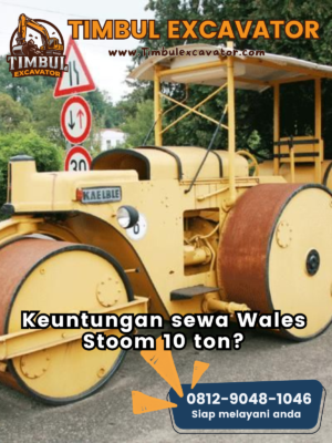 Keuntungan Sewa Wales Stoom 10 Ton